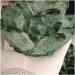 Natural Crystal Rough Crystal 750-850g 1pc Natural Green Phantom Quartz Crystal Cluster Gemstone Geode Adornment Suitable for Home Office Decoration - Buy Online on GoSupps.com