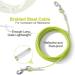 Shop Robust 50ft Expression Cable for Dogs - Durable Outdoor Leash for Farm & Camping (16ft Green) - Buy Online on GoSupps.com