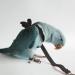 Pet Parrot Bird Harness and Leash Adjustable Training Design Anti-Bite Bird Nylon Rope with Cute Wing for Parrots Suitable for Alexandrine Scarlet Keck Mini Macaw and Same Size Birds (Black) - Buy Online on GoSupps.com