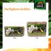 Terra Exotica Sphagnum Moss - Premium 300g Peat Moss for Garden Houseplants & Terrariums | Fast International Shipping - Buy Online on GoSupps.com