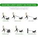 Dog Training Double Ended Leads : 2m Hands Free Adjustable Pet Training leash for Running Walking - Retractable Multifunctional Strong Nylon Puppy Lead Rope for Small Medium Dogs - Buy Online on GoSupps.com