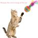 Molain Cat Toys Balls with Feather 8 Pieces Rainbow Cat Balls Toy Interactive Kitten Toy Colorful Balls for Indoor Ourdoor Kitty Kitten Chewing Training Hunting Multi-colored - Buy Online on GoSupps.com