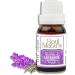 Soul Mantra Lavender Oil - Aromatherapy Essential Oil for Diffusers & Relaxation | 5ml 30ml Options - Buy Online on GoSupps.com