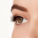 ARDELL Light As Air Style 521 - 2 Sets of Vegan Ultrathin Natural Fake Eyelashes with Glue - Reusable & Lightweight Band Lashes for Effortless Beauty - Buy Online on GoSupps.com
