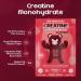 Creatine Monohydrate Gummies - 5000mg Per Serving | Zero Sugar Gluten Free Halal | Watermelon Flavor | 90 Count Pack for Men & Women - Buy Online on GoSupps.com