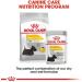 Royal Canin Dermacomfort Wet Pouches Adult Dog Food 85g (Pack of 12) - Buy Online on GoSupps.com