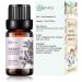 Essential Oil Set 6x10ML - 100% Pure Organic Oils for Diffuser Massage Spa & Yoga - Cherry Blossom Rose Jasmine Violet Neroli & Ylang Ylang - Buy Online on GoSupps.com