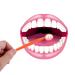 Disposable Mouth Mirror with Anti-Fog Lenses - 4 Pack in 4 Colors | Ideal for Dentists & At-Home Use - Buy Online on GoSupps.com