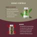 Buy Green Gummies G7 Plus - 60 Fruit-Flavored Gummy Bears | Natural Plant Flavors | 5 Cans | International Shipping - Buy Online on GoSupps.com