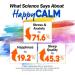 LABO Nutrition Happy Calm with KSM-66 Ashwagandha 5% Withanolides Saffron Extract and Black Pepper Extract for Stress Relief Energy Quality Sleep & Relaxation Non GMO 90 Veggie Capsules - Buy Online on GoSupps.com