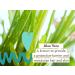 Babo Botanicals Eucalyptus Remedy Shampoo & Wash - Eucalyptus & Rosemary Oils - EWG Verified, Vegan & Cruelty-Free - 16 fl. oz - Buy Online on GoSupps.com