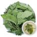 100% Dried Peppermint Leaves 20G/0.7oz | Feuilles de menthe hach es s ches de haute qualit | Feuilles de menthe 100% naturelles | Feuilles de th la menthe