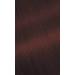 Buy #76 Copper Brown Bigen Permanent Powder - 3 Pack | Long-Lasting Hair Color for International Shipping - Buy Online on GoSupps.com