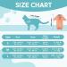AVONT Cat Recovery Suit - Protective Alternative Surgical Spay Suit for Female Cats Gray Coral L - Ideal for Post-Operative Care & Skin Diseases - Buy Online on GoSupps.com