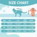 Avont Katzenbody: Optimal Recovery Suit for Cats | Spay Castration & Wound Protection | M Coral - Buy Online on GoSupps.com