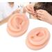 Silicone Ear Model - Durable & Portable Relaxation for Home Office & More | Shop Now! - Buy Online on GoSupps.com
