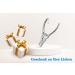 SMI Nail Tongs & Footnail Pliers - Stainless Steel Toenail Scissors & Clippers for Ingrown & Thick Nails - Includes Case - Buy Online on GoSupps.com