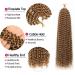 Passion Twist Hair - 7 Packs 24 Water Wave Crochet Hair for Bohemian Braiding | Synthetic Hair Extensions 27# - Yddm - Buy Online on GoSupps.com
