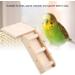 Parrot Hamster Toy Slide Climbing Ladder Two-Piece Springboard Staircase Combination (Ladder + Springboard Set (Log Color)) - Buy Online on GoSupps.com
