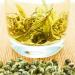 Th vert aux fleurs chinoises Puer King Jasmin Premium Dragon Perle Th en boule (500g) - Buy Online on GoSupps.com