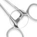 Durable 4-Piece Straight Hemostat Set - High Quality Stainless Steel - Autoclavable - Precision Tips - Serrated Jaws - Three Locking Positions - 3.5 5 6.25 8 - 4 Pcs - Buy Online on GoSupps.com