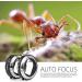 Auto Focus Macro Extension Tube Set for Nikon Z-Mount - 11mm & 18mm Tubes for Z5, Z6, Z6II, Z7, Z7II Mirrorless Cameras - Buy Online on GoSupps.com