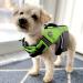 Vivaglory Neon-Green Sports Life Jacket for Small Dogs | Adjustable Durable Excellent Buoyancy (XS: 43-51 cm) - Buy Online on GoSupps.com