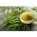 Organic Neem Powder - Lab Tested | 8 oz | Eco Kraft Bag | 100% Raw from India - Ayurvedic Skin Care & Hair Detox - Buy Online on GoSupps.com