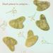 Zo Ayla Gua Sha Facial Massage Tool - Natural Jade Stone (Green) - Buy Online on GoSupps.com