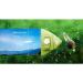 Double Sided Magnetic Window Cleaner Adjustable Magnetic/Cleaner Glass Wiper Magnetic with Anti-Fall Safety Rope Triangle Design 3 Specifications Manual Type  - Buy Online on GoSupps.com