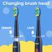 SEAGO Replacement Toothbrush Heads - SG-2303 Refills 4 Pack with Extra Soft & Color Fade Brush Heads Navy - International Shipping Available - Buy Online on GoSupps.com