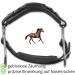 AMKA Hackamore Bitless Bridle with Nose Pad - Black | Premium Quality eCommerce Shipping Worldwide - Buy Online on GoSupps.com
