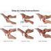 T-Ring Finger Cut Kit - Comprehensive solution for first aid care and healing - Buy Online on GoSupps.com