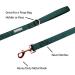 Lionet Paws Dog Leash - Premium Silk Leash for Small Medium & Large Dogs - Matching Collars for Boys & Girls - Green (Pack of 1) - International Shipping Available - Buy Online on GoSupps.com