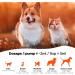 Pooch & Purr 1L Salmon Oil for Dogs, Cats, Horses, Ferrets & Pets | Omega 3 6 9 Fish Oil for Itchy Skin & Coat | Dog Vitamins & Supplements - Buy Online on GoSupps.com