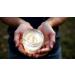 Revival Pharms Natural Tallow Cream Citrus Blend 2 oz Premium Moisturizer with Essential Oils - Buy Online on GoSupps.com