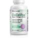 Fit & Lean CollaVen Vegan Collagen Builder Clinically Proven Vegan Plant-Based Collagen with Vitamin C for Youthful & Hydrated Skin Reduces Wrinkles Boosts Collagen Production 60 Vegan Capsules - Buy Online on GoSupps.com