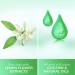 Pears Soft & Fresh Lemon Flower Extract Hand Wash with 10x more moisturiser* 250ml (12 Pack) 250 g (Pack of 12) - Buy Online on GoSupps.com