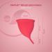 Gleitzeit Menstrual Cup Premium Size L | Medical Silicone | Hygienic Alternative to Tampons & Panty Liners (30ml) - International Shipping Available - Buy Online on GoSupps.com