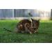 Beau's Bells Extra Loud Cat & Dog Bells - Handmade Copper Pet Tracker for Wildlife Safety - Buy Online on GoSupps.com