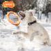 Buy Laroo Dog Fitness Ring - Indestructible Float Frisbee Toy for All Dog Sizes (Large 30cm Orange) - Perfect for Summer Training! - Buy Online on GoSupps.com