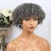 Grey Kinky Curly Bob Human Hair Wig - Old Lady Style | 180% Density - Buy Online on GoSupps.com