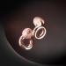 Loop Experience 2 Ear Plugs - Rose - Buy Online on GoSupps.com