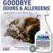 Vital Oxide - Ultimate Carpet Stain Remover for Pet Urine & Odors | Destroys Viruses Fast | International Shipping Available - Buy Online on GoSupps.com