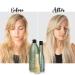 SUDZZFX Enhance Daily Conditioner - Sulfate-Free Detangler for All Hair Types - 10.1 Fl Oz - Daily Hair Care for Men & Women - Perfect for Curly & Dry Hair - Buy Online on GoSupps.com