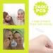 Invisible Fiber Double Eyelid Tape - 2400pcs Instant Lift Stickers with Fork Rods for Hooded Droopy Uneven or Mono-eyelids - Waterproof Eyelid Lift Strips - Buy Online on GoSupps.com