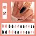 Almond False Nails Short 24Pcs Nude French Press On Nails with Polka Dot Designs - Glossy Acrylic Fake Nails for Women - Buy Online on GoSupps.com