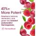 PhenELITE Fat Burner for Women - Powerful Weight Loss Pills with Raspberry Ketones - Effective Belly Fat Reduction and Appetite Suppressant - Buy Online on GoSupps.com
