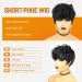 Short Curly Pixie Cut Wig for Black Women - Fluffy Natural Wavy Synthetic Hair with Bangs | Black Color (1B) - Buy Online on GoSupps.com