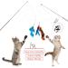 Bojafa Cat Toys for Indoor Cats Adult: Interactive Kitten Feather Wand Toys 15 Pcs Cat Teaser Toys - Buy Online on GoSupps.com